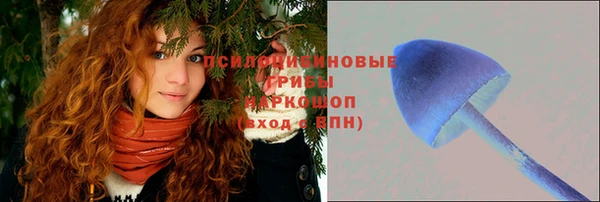 PSILOCYBIN Балабаново