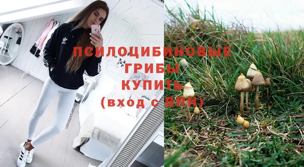PSILOCYBIN Балабаново