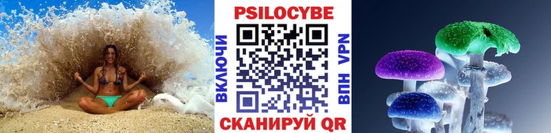Купить где  Барабинск  Псилоцибиновые грибы прущие грибы 